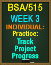 BSA/515 Week 3 Practice: Track Project Progress